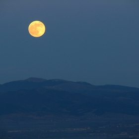 Blue moon