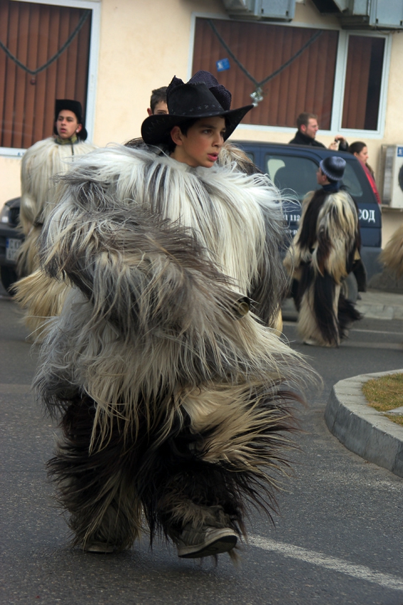 Старчевата, Разлог, 01.01.2010-цветове и звуци
