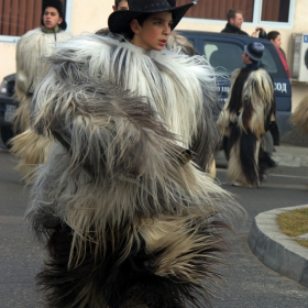 Старчевата, Разлог, 01.01.2010-цветове и звуци