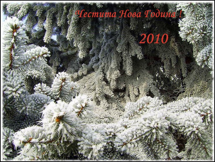 С пожелание за здраве и успех през новата 2010 година!