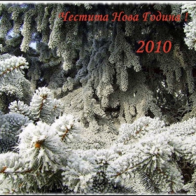 С пожелание за здраве и успех през новата 2010 година!