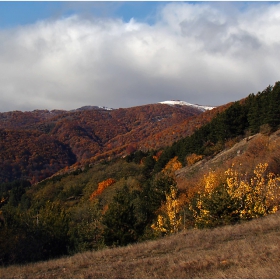 есенно пейзажче