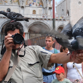 Фотографът и гълъбите