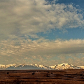 Цялата картинка