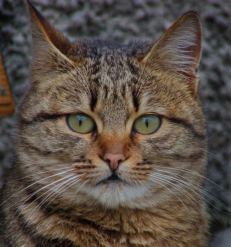 Снимка без име
