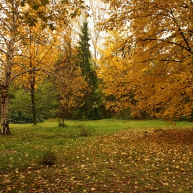 Есен в парка