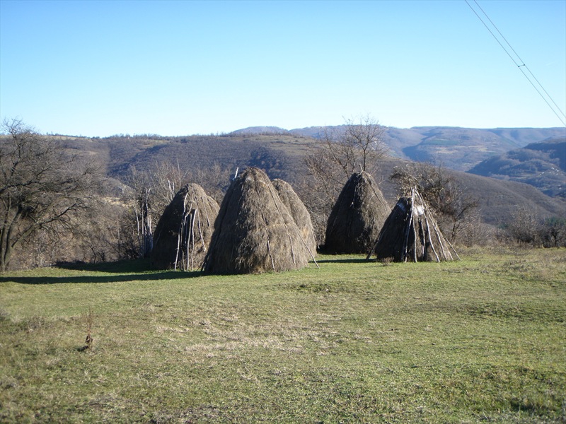 Лакатник