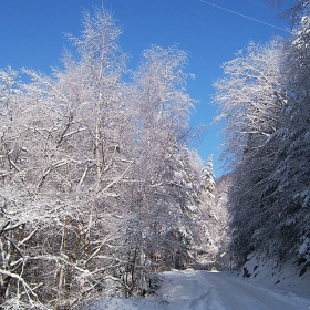 към балкана