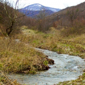 Планинско поточе