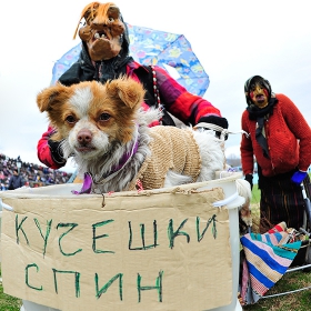 кучешки спин