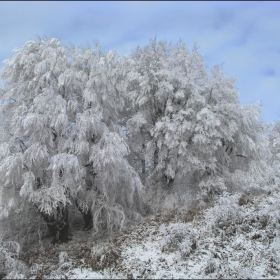 Зимно заскрежено