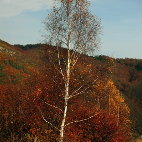 Есен в Родопите 8