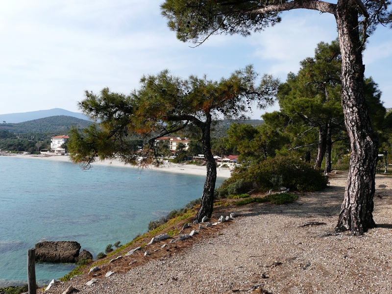 o. Thassos - 5