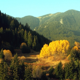 Есен в Родопите 16
