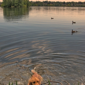 Greenlake -  Seattle