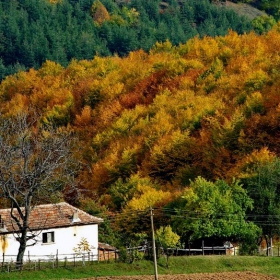 Край Кърджали