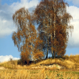 Есен в Родопите 27