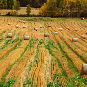 Harvest time at the end of summer