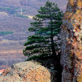 belogradchik