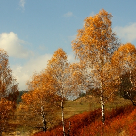 Есен в Родопите 35