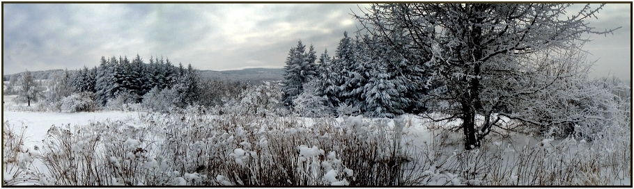 Зимна панорама