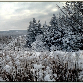 Зимна панорама