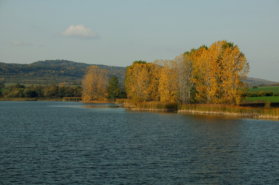 Есен 2009