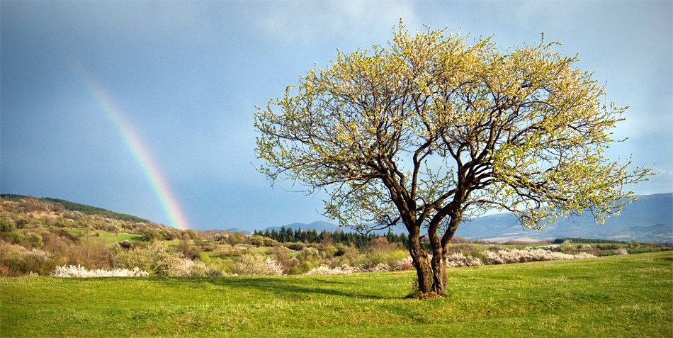 Somewhere over the rainbow