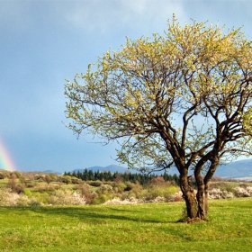 Somewhere over the rainbow