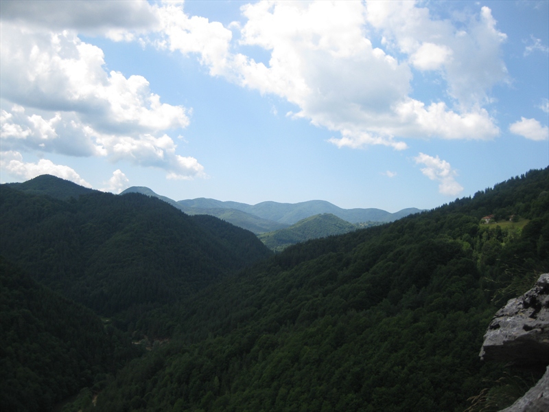 Nature