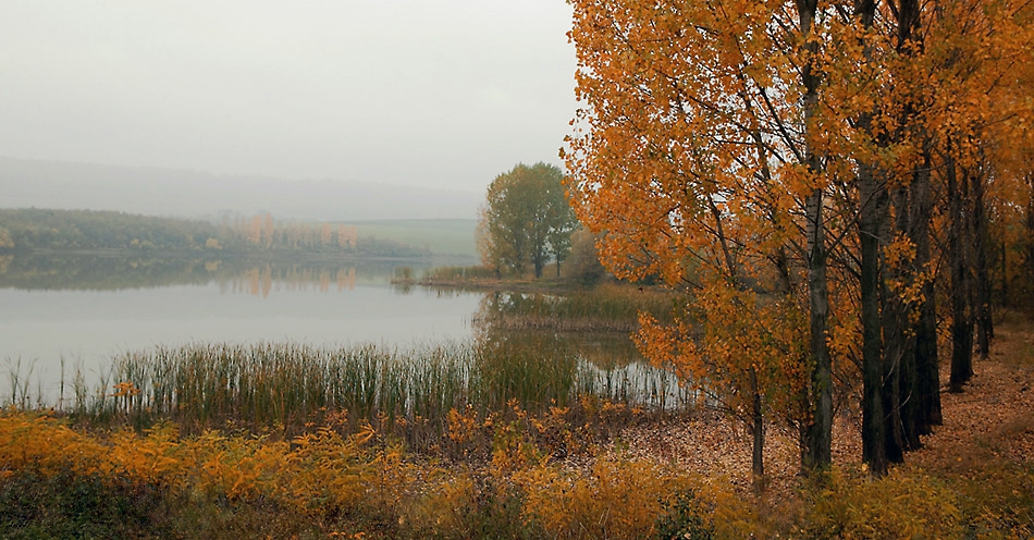 Есенно