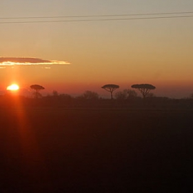 italian sunrise