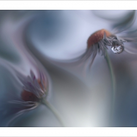 :::Touch:::