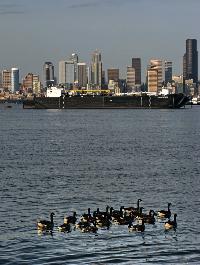 Seattle (поглед от Alki Beach)