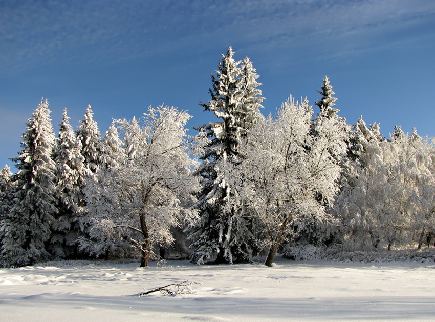 Снежно