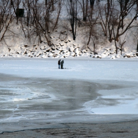 Icefishing (observed and photographed from a safe distance) :)
