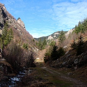 Резерват Сосковчето