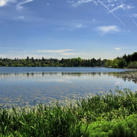 Greenlake -  Seattle