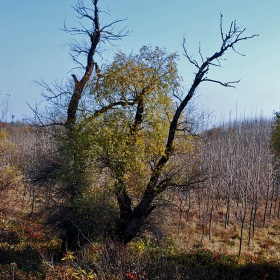 Есенни спомени