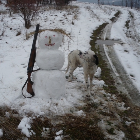 Снежко и Вихърчо на лов