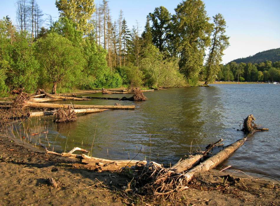 Sammamish Lake (Seattle)