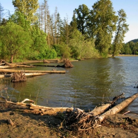 Sammamish Lake (Seattle)