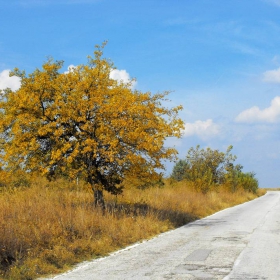 Есенно пътуване!!!