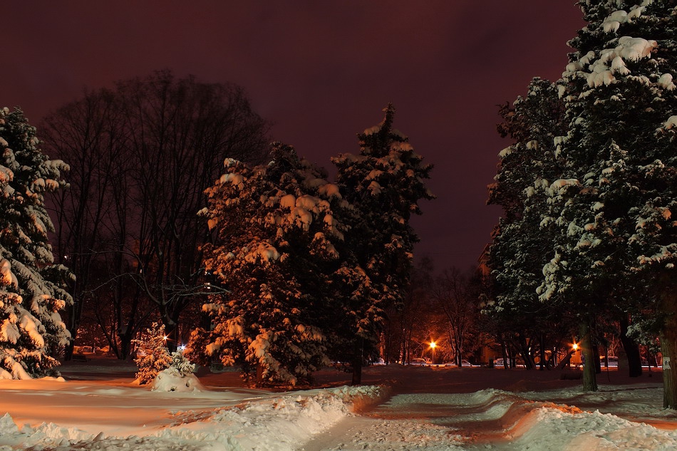 Winter night