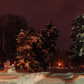 Winter night