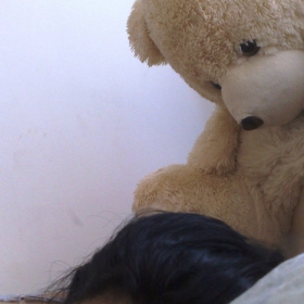 Fuck Guys - Sleep With Teddy Bears!