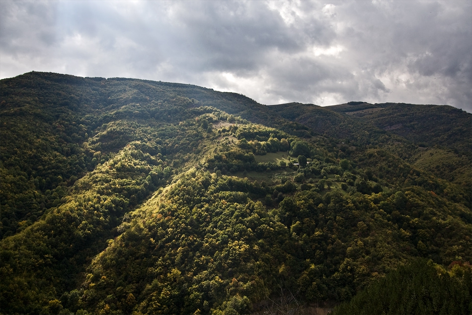 Старопланинско