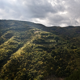 Старопланинско