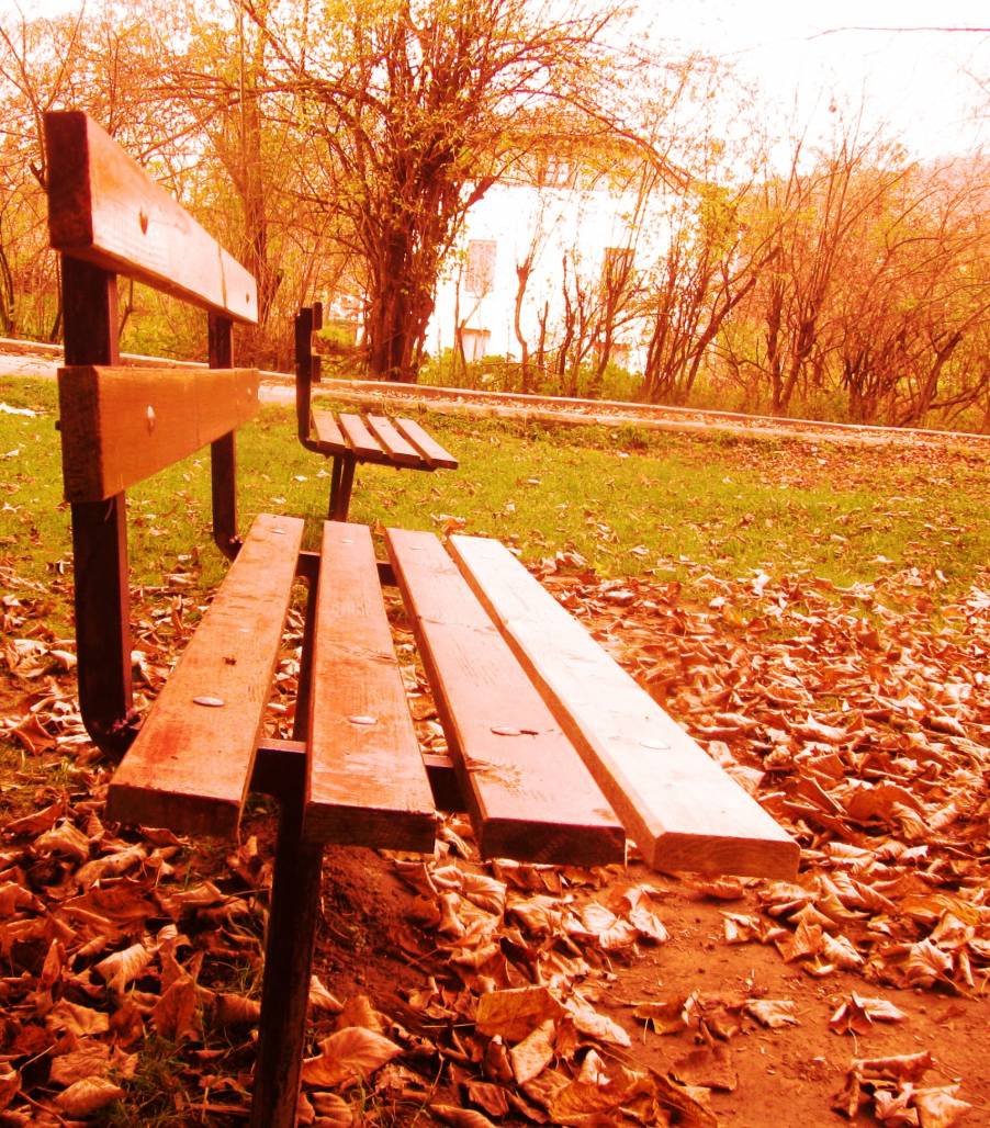 Autumn