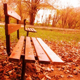 Autumn